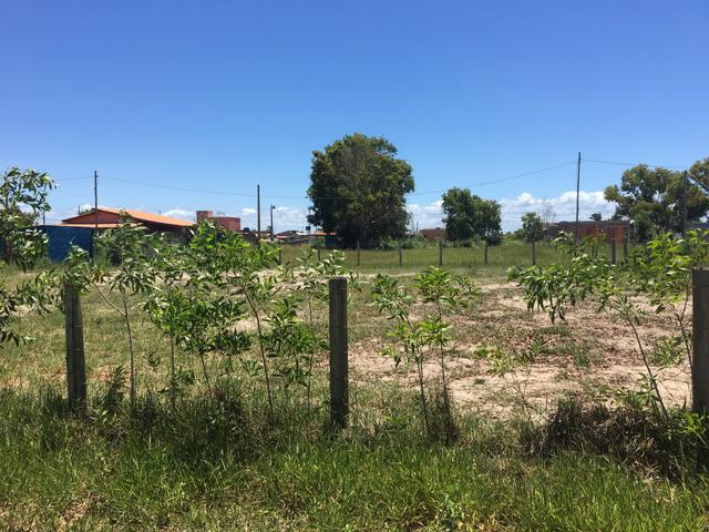 Lote 300 m2 vila verde próximo Pontal Do Ipiranga aceito carro - Foto 4