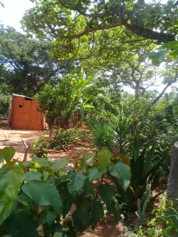 Vendo Chácara na Comunidade Rural de Extrema em Bocaiuva-Mg - Foto 11