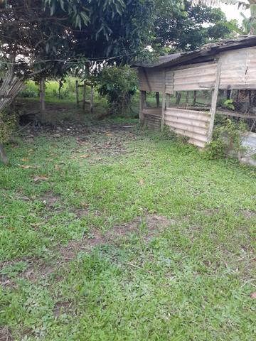 Vende-se terreno em local bem valorizado e tranquilo - Foto 4