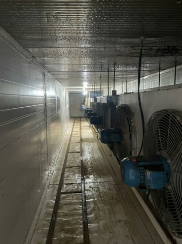 Camara fria+Máquina de gelo, Aceita permuta +Túnel congelamento - Foto 3