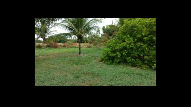 Lote em Porto de Galinhas- Perto do mar- Preço e oportunidade!! - Foto 6