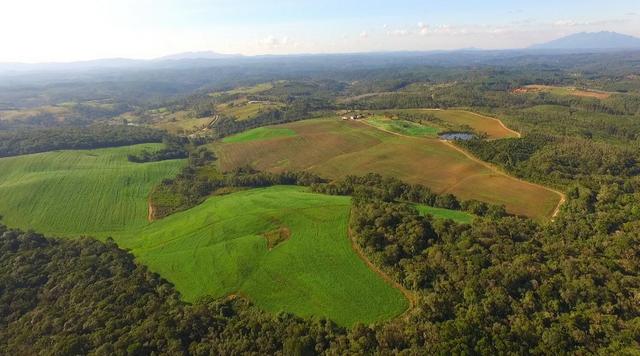 Área para soja próxima de Curitiba - Foto 8