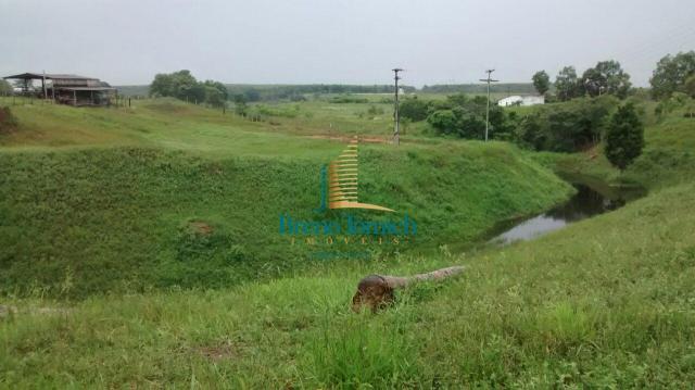 Fazenda à venda, 890000 m² por r$ 1.300.000 - teixeira do progresso - mascote/ba - Foto 11