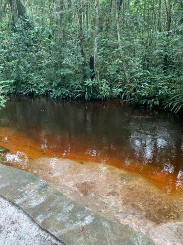 Presidente Figueiredo, lote no Cd. Bosque das aguas terreno 20x60, com registro - Foto 10