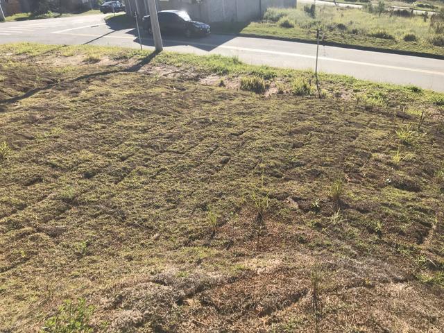 Terreno Barato - Foto 3