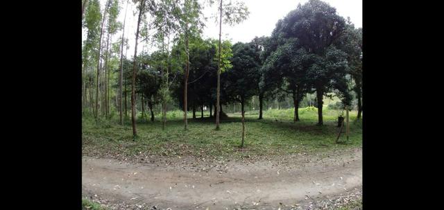 Terreno - Foto 6