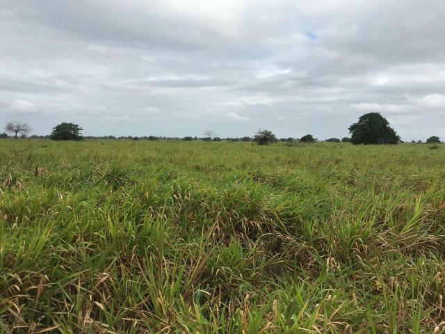 Fazenda com 480 hectares em Bom Jesus-RN - Foto 13