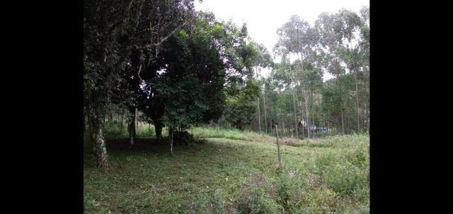Terreno - Foto 4