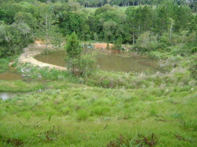Residencial Piraquara - Chácara - Foto 17