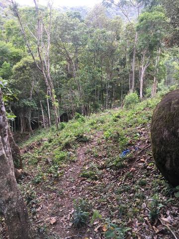 Terreno no Cedro (interior Camboriú) - Foto 5