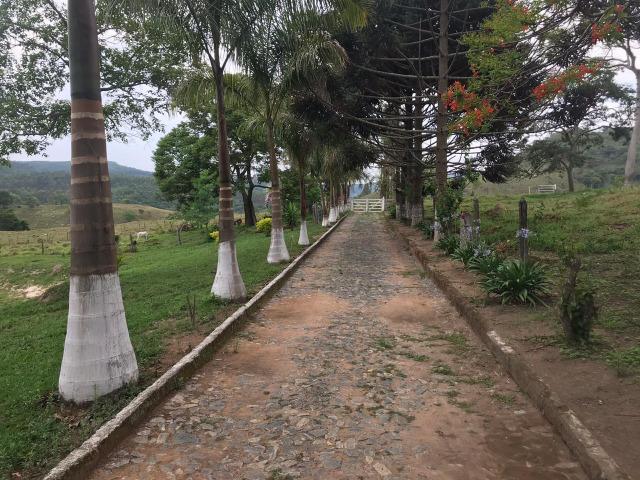 Excelente fazenda 86 ha - Foto 11