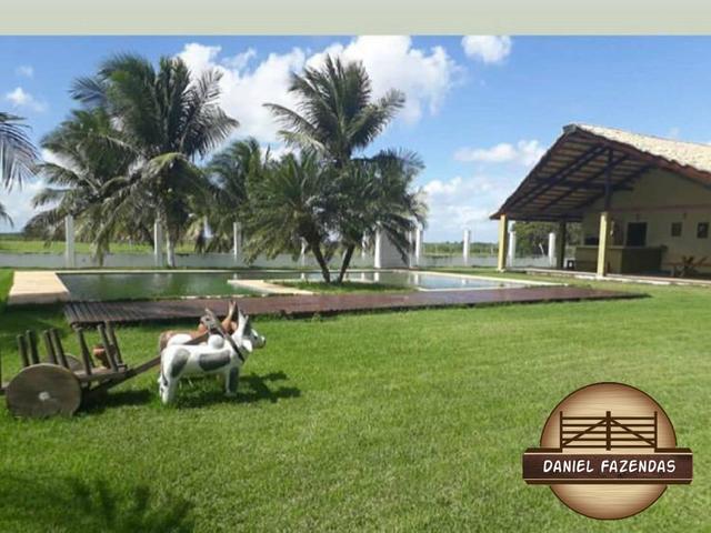 Fazenda com 480 hectares em Bom Jesus-RN - Foto 15