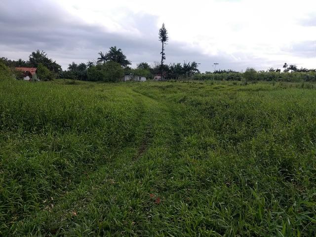Área Rural em Joinville 105.472,71 m2 - Foto 3