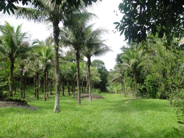 Guapimirim Sítio 97.000m², sede com 4 Quartos, piscina e campo - Foto 16