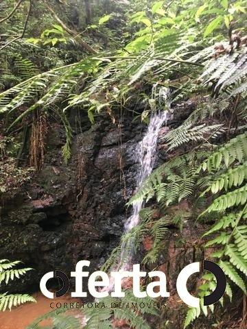 Chácara à venda em Serrinha, Contenda cod:549 - Foto 7
