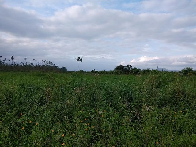 Área Rural em Joinville 105.472,71 m2 - Foto 2