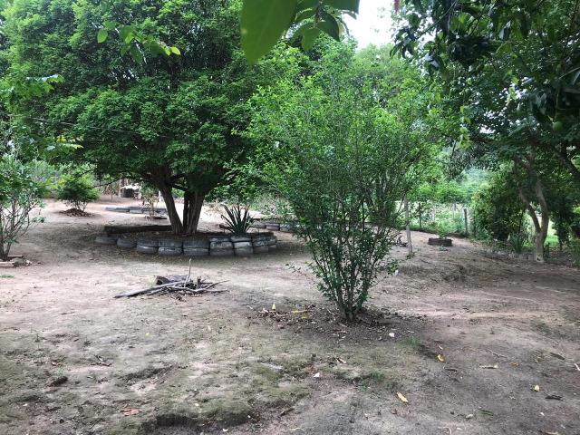 Excelente fazenda 86 ha - Foto 15
