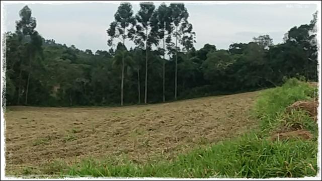 Venha rapido terreno de 1000m² próximo de Cotia - Foto 4