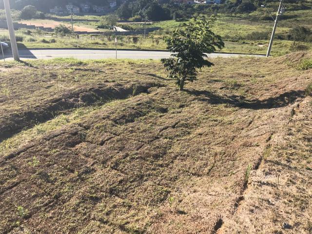 Terreno Barato - Foto 6