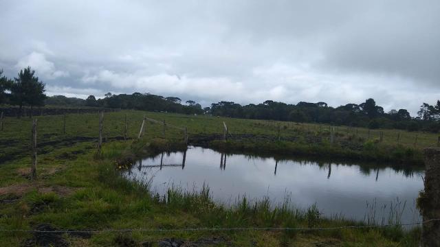 Chácara de 5000mts em Tijucas do Sul - Foto 2