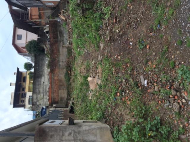 Terreno - Foto 2