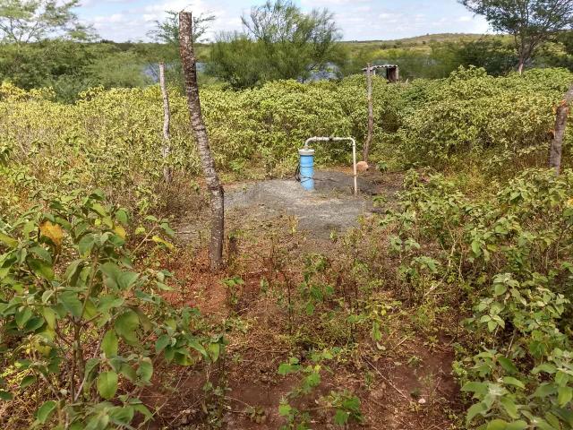 Fazenda em São Paulo do Potengi cortada pelo rio Potengi - Foto 3