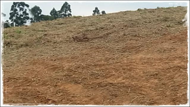 Venha rapido terreno de 1000m² próximo de Cotia - Foto 5