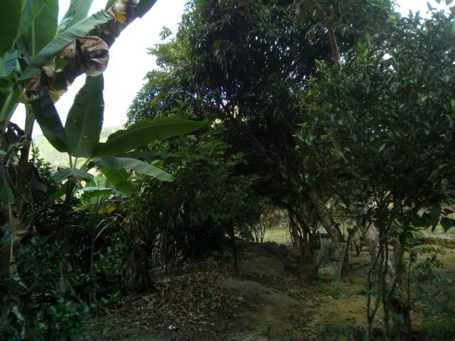 Chácara Santa Teresa - Parcelas de 800 mensais!! - Foto 5