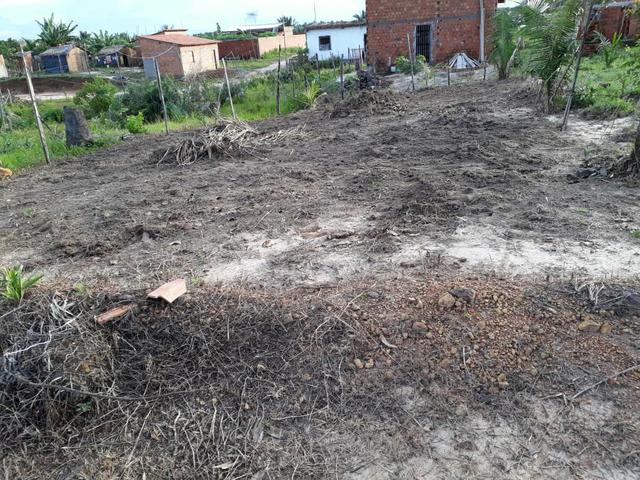 Terreno - Foto 2