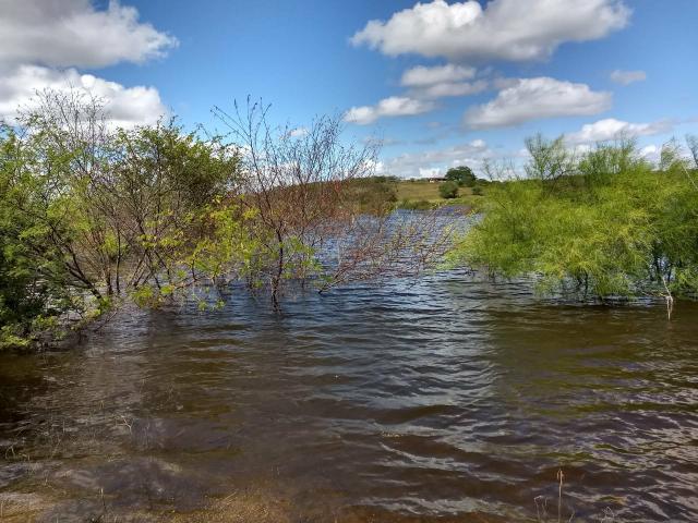 Fazenda em São Paulo do Potengi cortada pelo rio Potengi - Foto 2