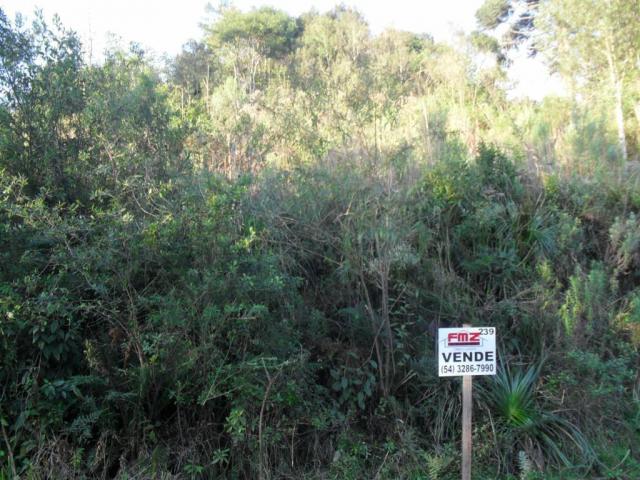 Terreno à venda, 888 m² por r$ 170.000,00 - vale dos pinheiros - gramado/rs - Foto 6