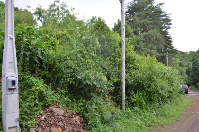 Terreno à venda, 888 m² por r$ 170.000,00 - vale dos pinheiros - gramado/rs - Foto 2