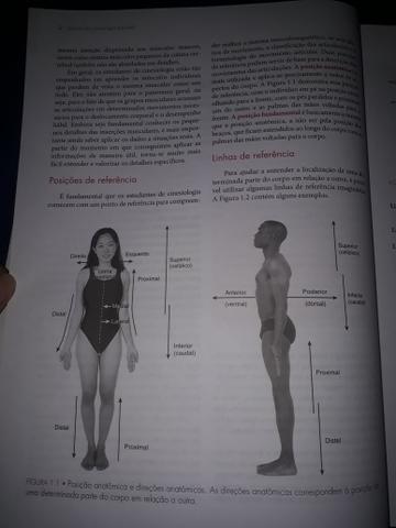 Cinesiologia Estrutural - Foto 3