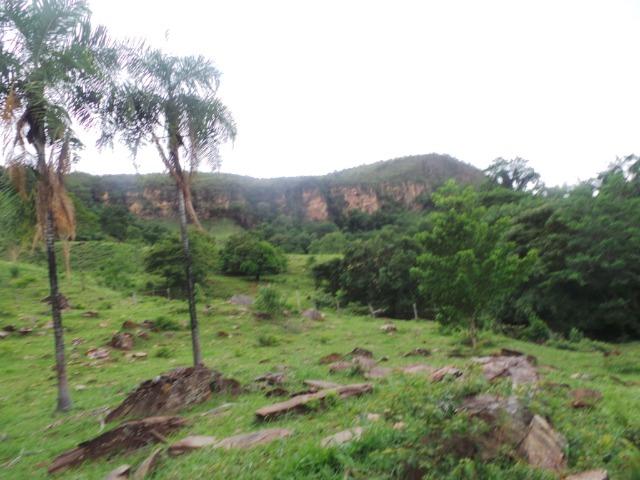 Fazenda 15 Alqueires Municipio Cocalzinho Aceita Imovel até 200 mil - Foto 10