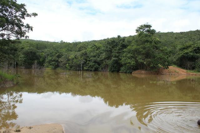 Fazenda 22 Alqueires Municpio Cocalzinho Aceita 50% em Trama em Goiania - Foto 16