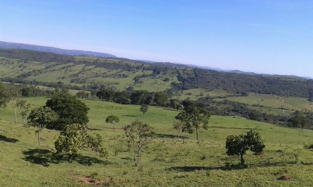 Fazenda 5.5 Alqueires Municipio de Pirinopolis Não aceita Imovel - Foto 2