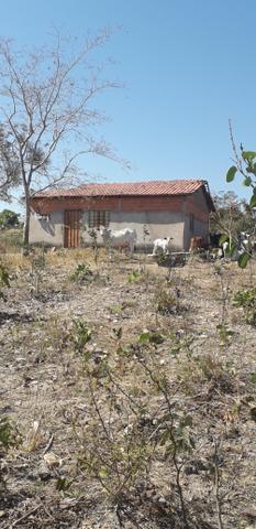 Vendo dois sitio próximo a guia - Foto 10