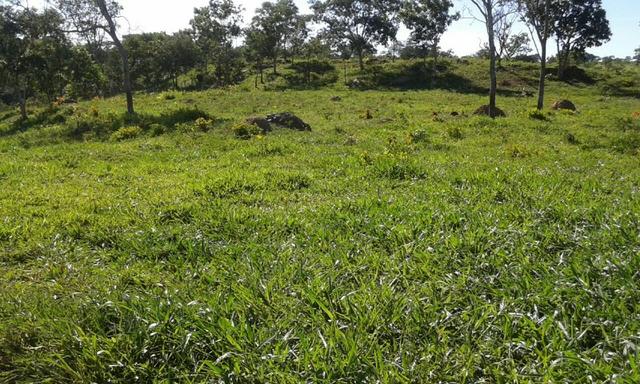 Fazenda 5.5 Alqueires Municipio de Pirinopolis Não aceita Imovel - Foto 15