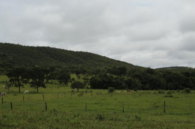 Fazenda 22 Alqueires Municpio Cocalzinho Aceita 50% em Trama em Goiania - Foto 2