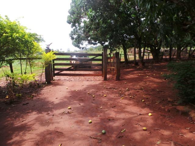 Fazenda 15 Alqueires Municipio Cocalzinho Aceita Imovel até 200 mil