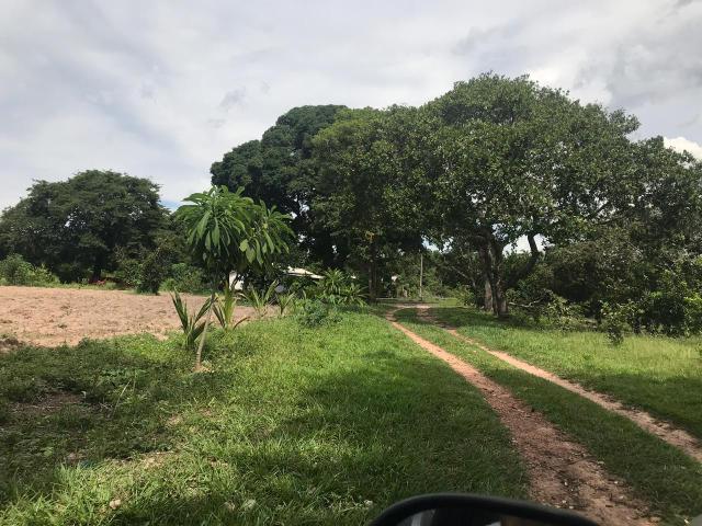 Chácara em Santo Antônio do leverger 17 hectares - Foto 6