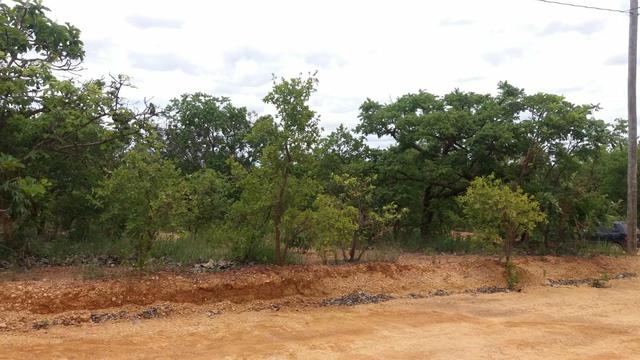 Vendo 2 Lotes na Represa de Três Marias - Foto 6