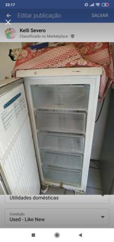 Freezer vertical Electrolux