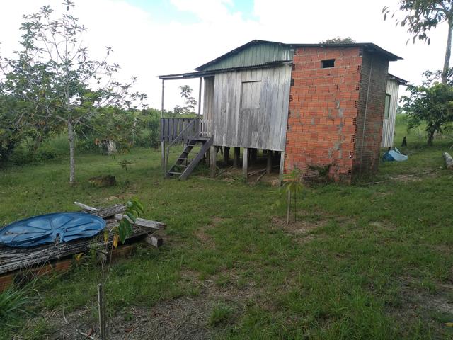 Vendo uma Chácara 14 hectares na BR 364 - Foto 4