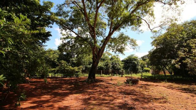 Área 3.775 m² Próximo a UFG Campus Samambaia P/ Lazer e moradia! Oportunidade - Foto 9