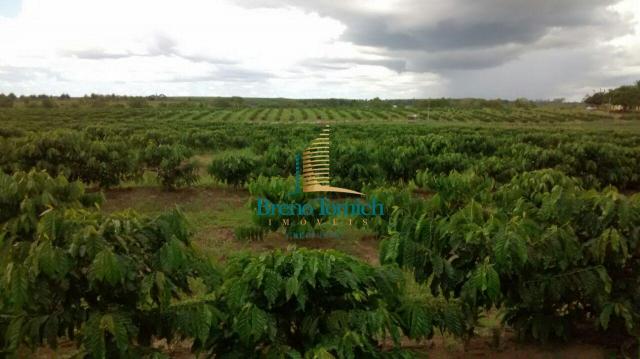Fazenda à venda, 890000 m² por r$ 1.300.000 - teixeira do progresso - mascote/ba - Foto 17