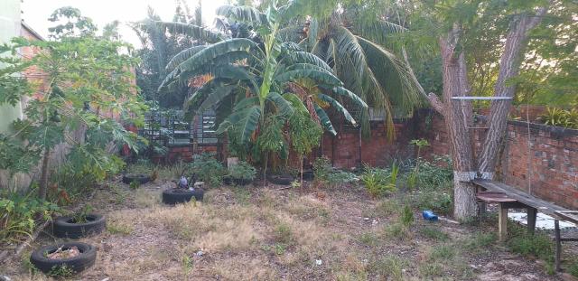 Terreno no Maranhão novo - Foto 3