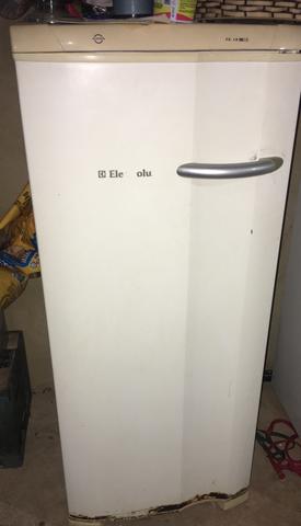 Freezer vertical
