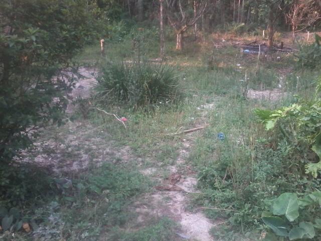 Terreno plaino - Foto 3