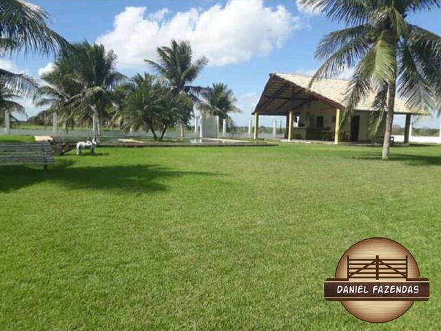 Fazenda com 480 hectares em Bom Jesus-RN - Foto 16
